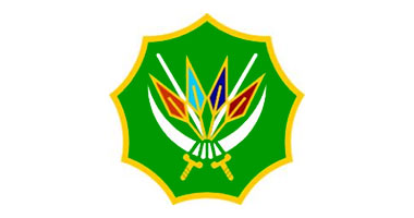 sandf_915